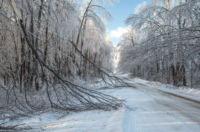how to check generator during storm winter weather trees down power lines outage national standby repair