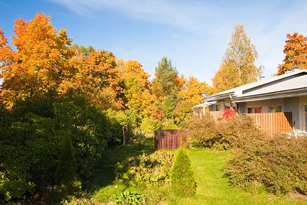 fall autumn outdoor residential home standby generator national standby repair